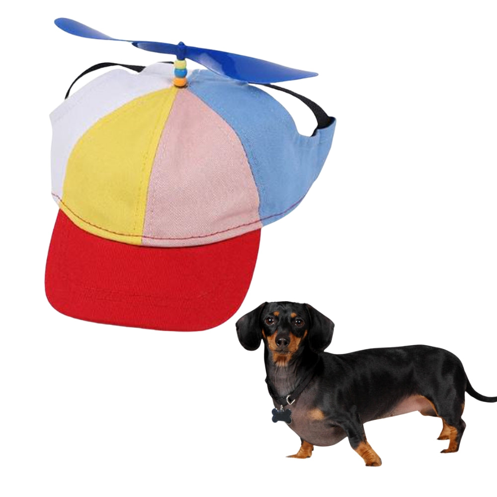 PupTop-Adjustable-Dachshund-Hat-with-Propeller-doxie.us