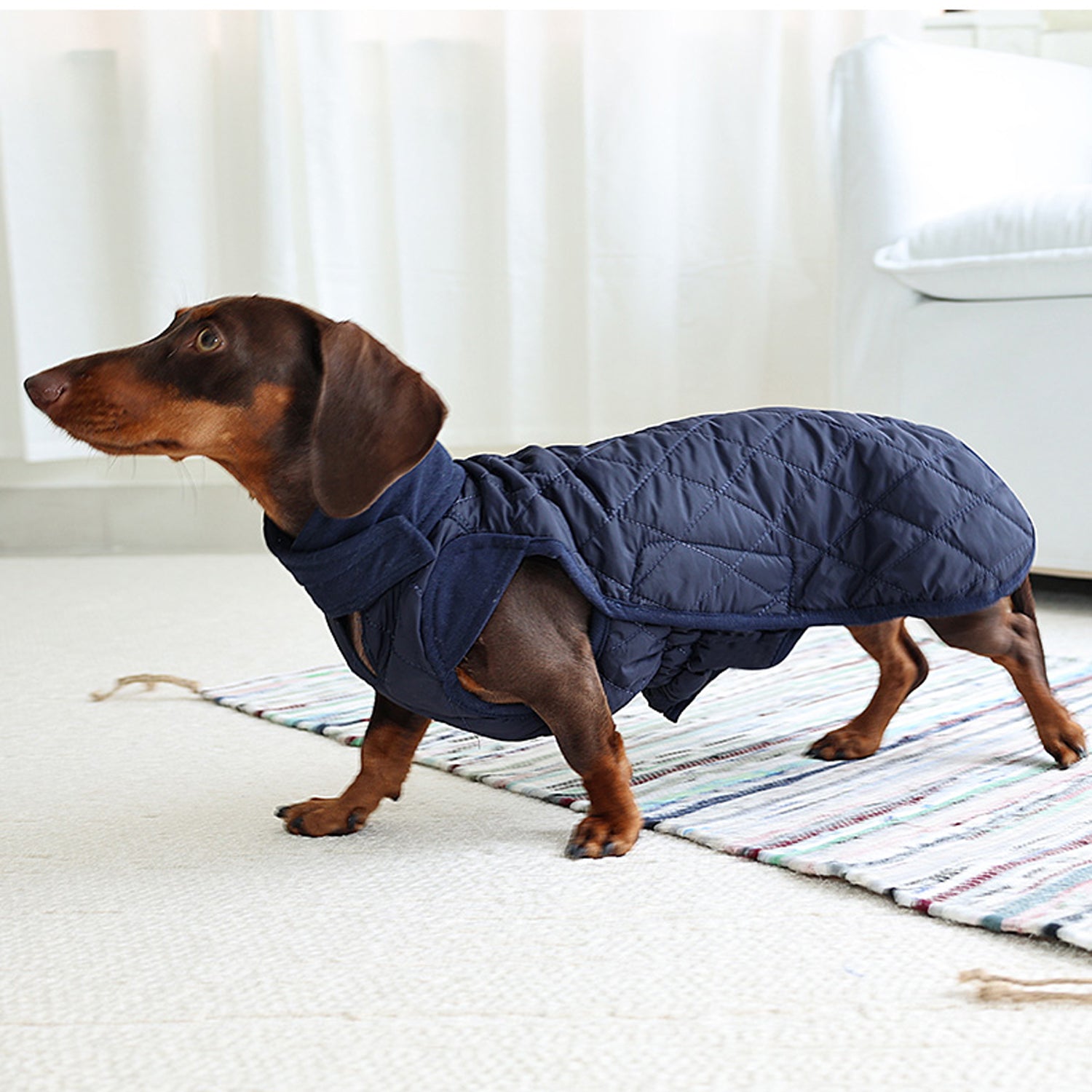 Quilted-Dachshund-Winter-Coat.jpg