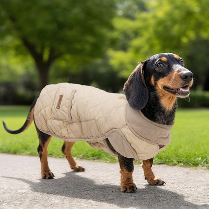 Quilted water-resistant winter coat for dachshunds, view 7