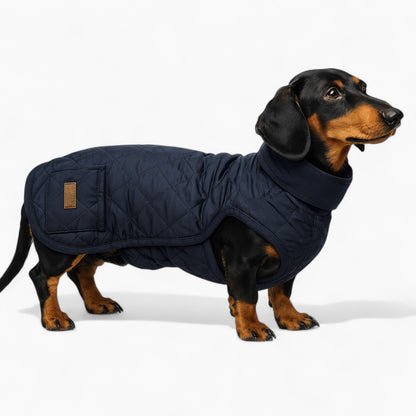 Quilted water-resistant winter coat for dachshunds