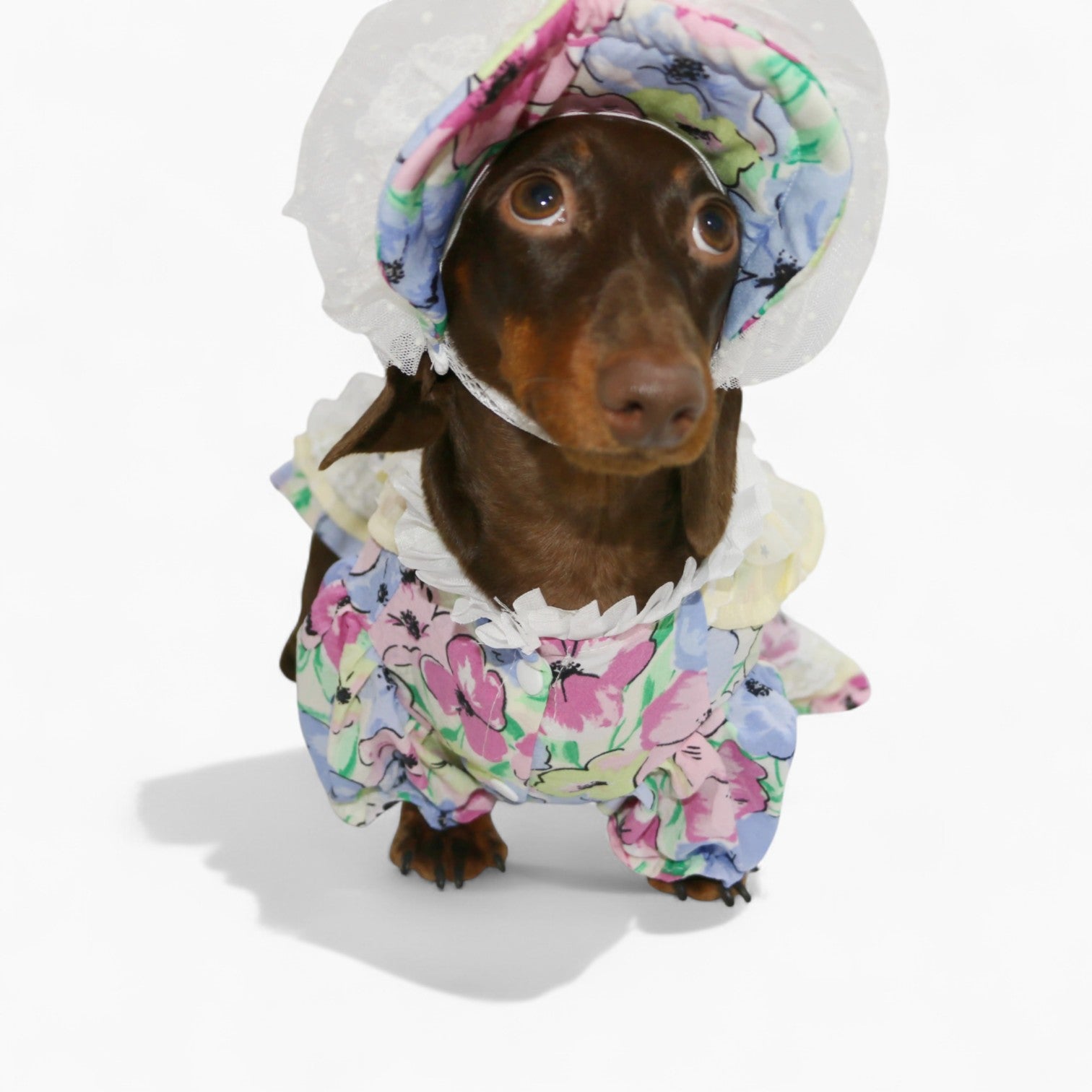 RetroLady-Dachshund-Dress-Set.jpg
