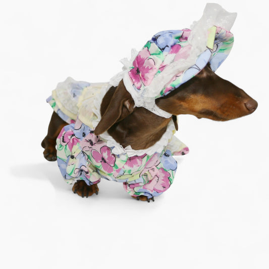 RetroLady-Dachshund-Dress-Set.jpg
