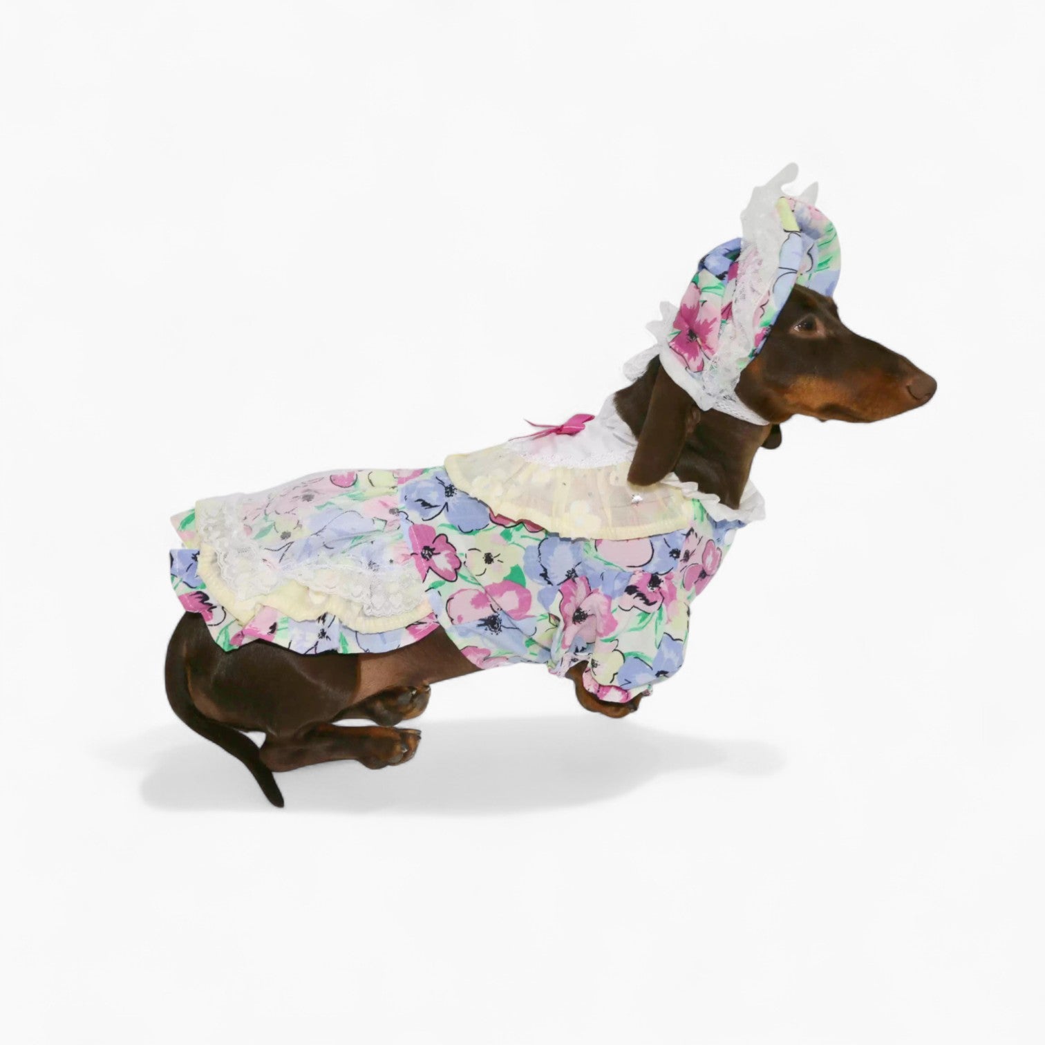 RetroLady-Dachshund-Dress-Set.jpg