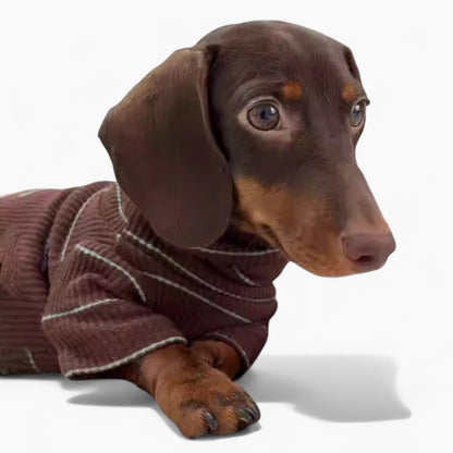 Ribberly-Dachshund-Warm-Sweater.jpg