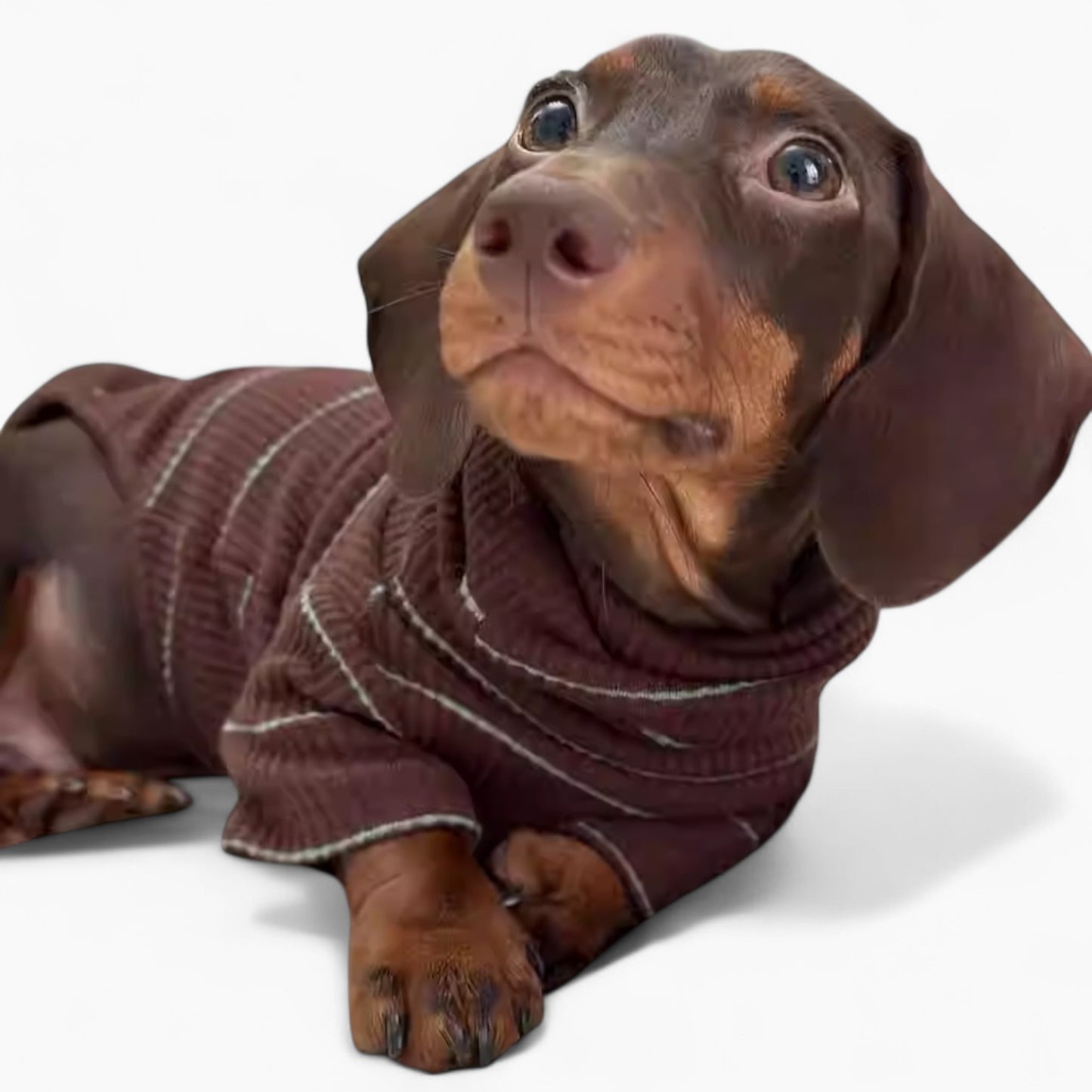 Ribberly-Dachshund-Warm-Sweater.jpg