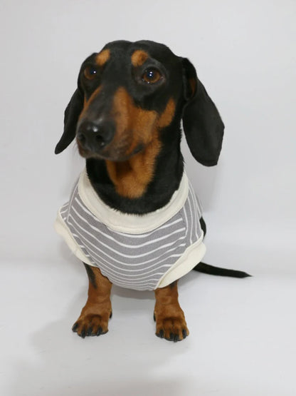 Dachshund Cotton T-Shirt – Lightweight Short-Sleeve Summer Outfit