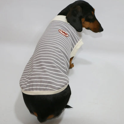 Dachshund Cotton T-Shirt – Lightweight Short-Sleeve Summer Outfit