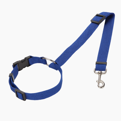 SafePaw-Dachshund-Car-Seat-Belt.jpg
