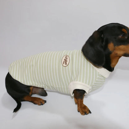Dachshund Cotton T-Shirt – Lightweight Short-Sleeve Summer Outfit