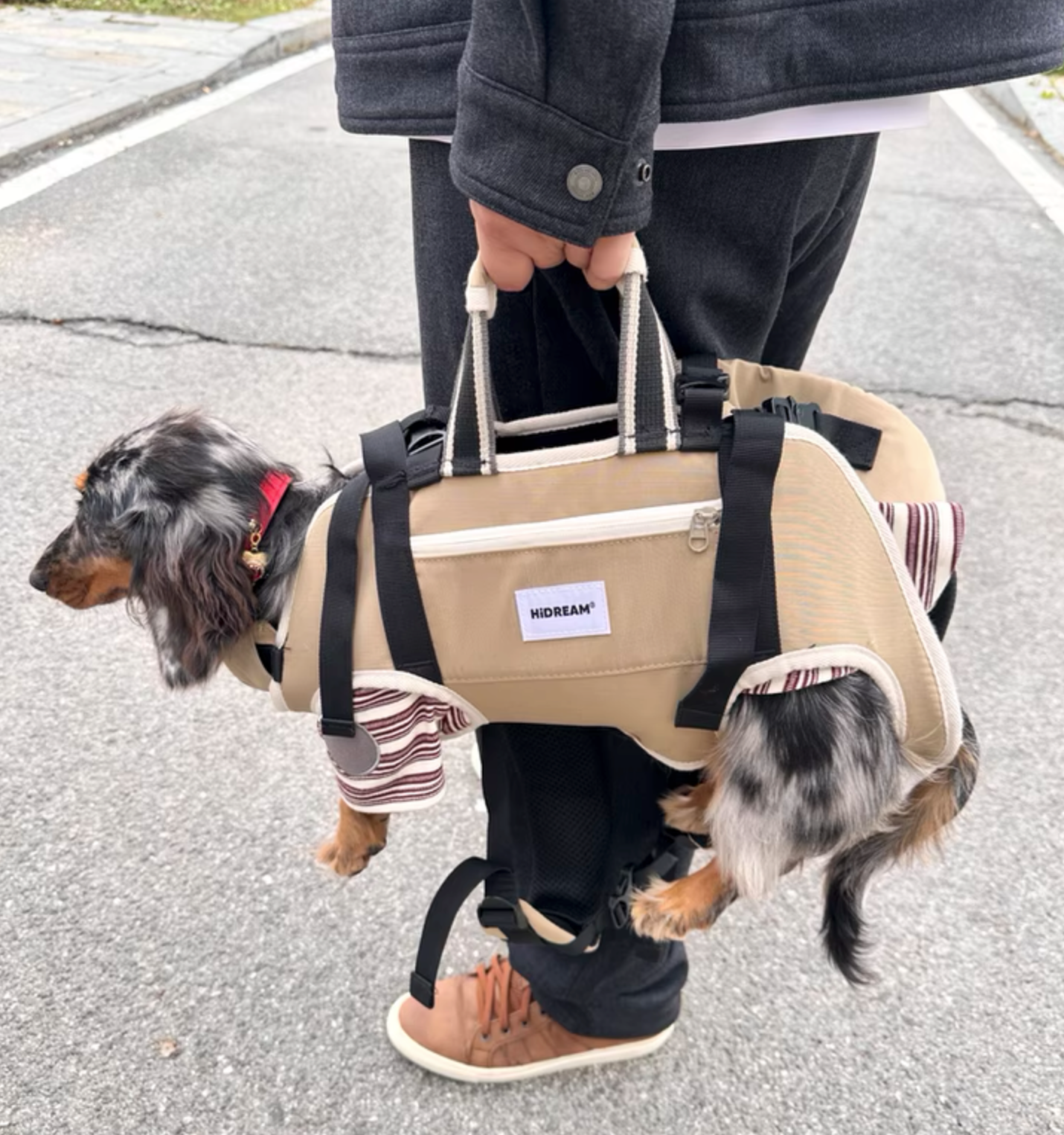 PawVentura Dachshund Backpack Carrier – Ergonomic Dog Carrier with Horizontal Support