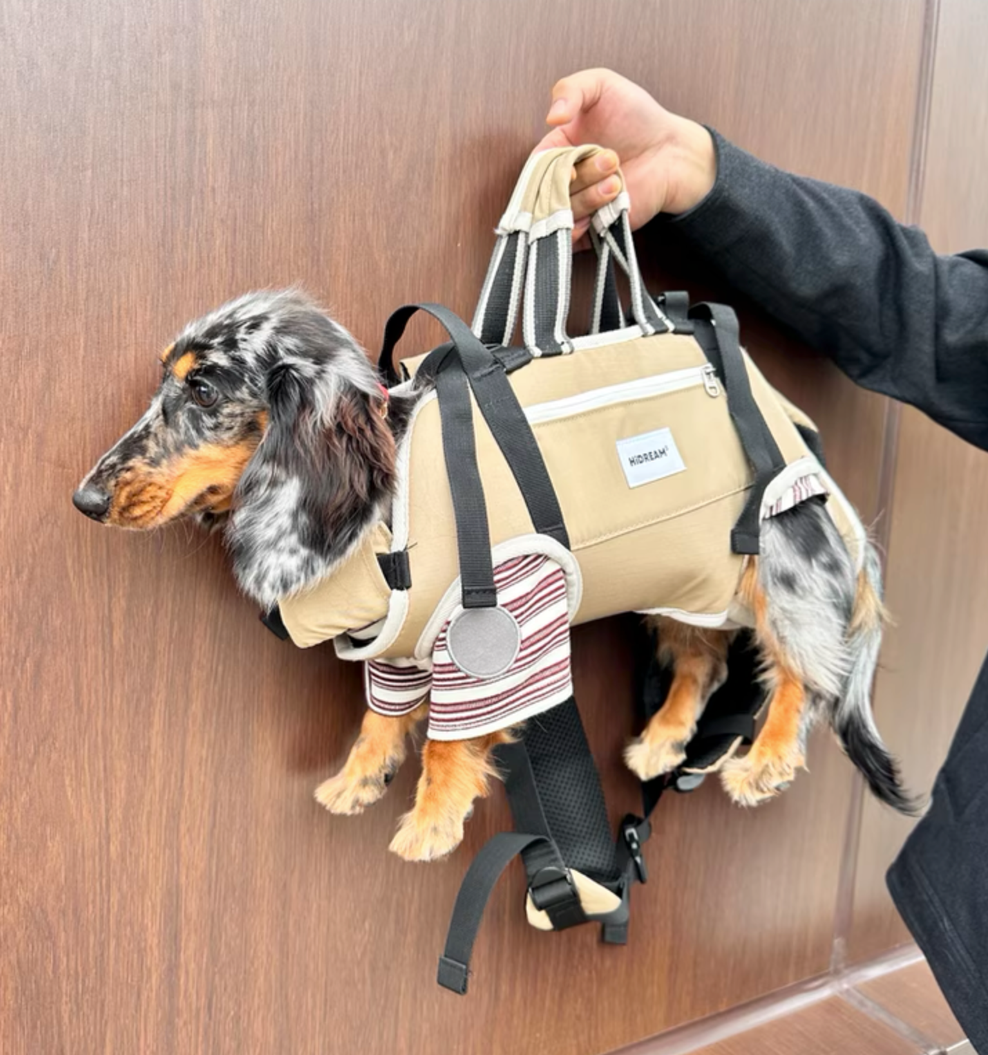 PawVentura Dachshund Backpack Carrier – Ergonomic Dog Carrier with Horizontal Support