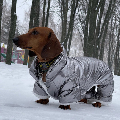 SnuggleShield-Dachshund-Winter-Jacket-