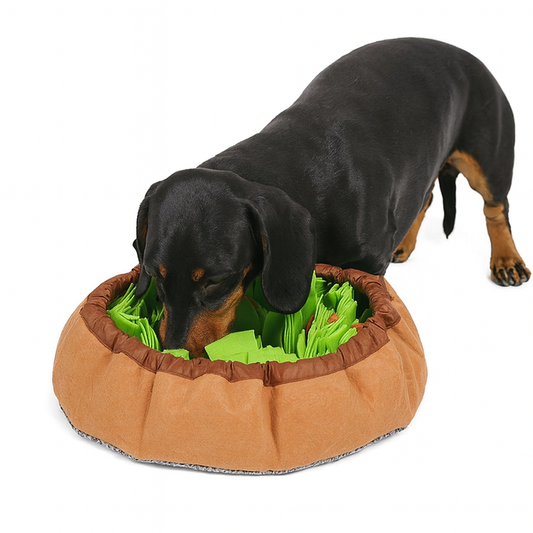 SniffPaw-Dachshund-Snuffle-Mat.jpg