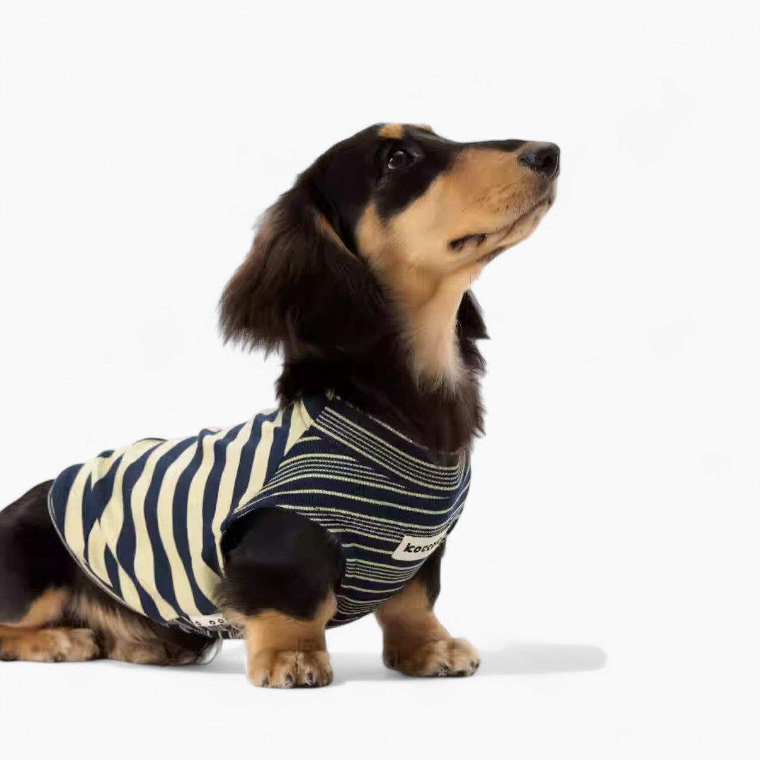SnouTique-Dachshund-Striped-Vest.jpg