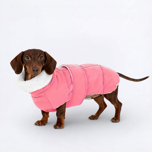 SnugglePup-Dachshund-Winter-Vest.jpg