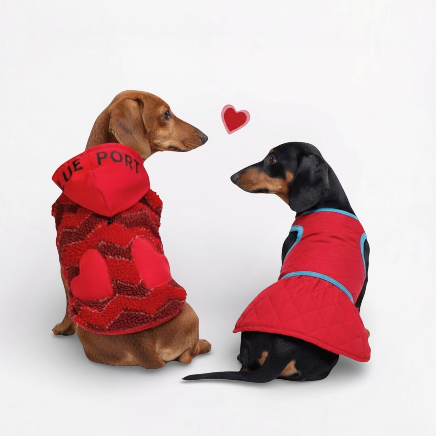 Snugsy-Dachshund-Warm-Vest.jpg
