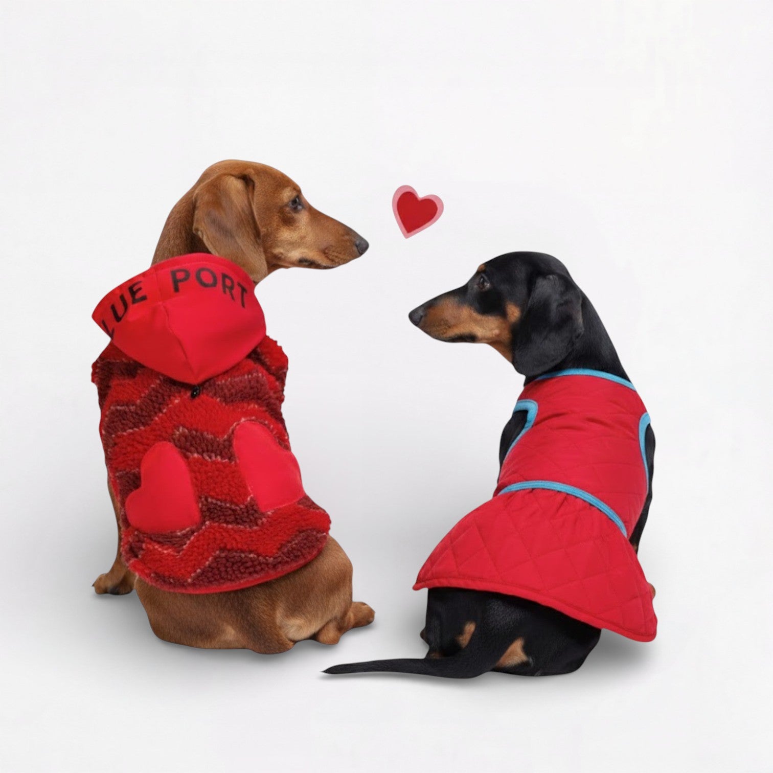 Snugsy-Dachshund-Warm-Vest.jpg