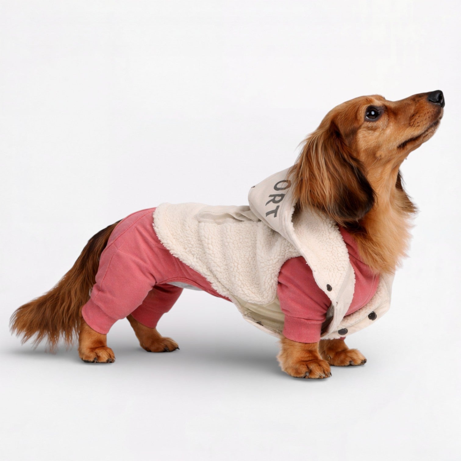 Snugsy-Dachshund-Warm-Vest.jpg