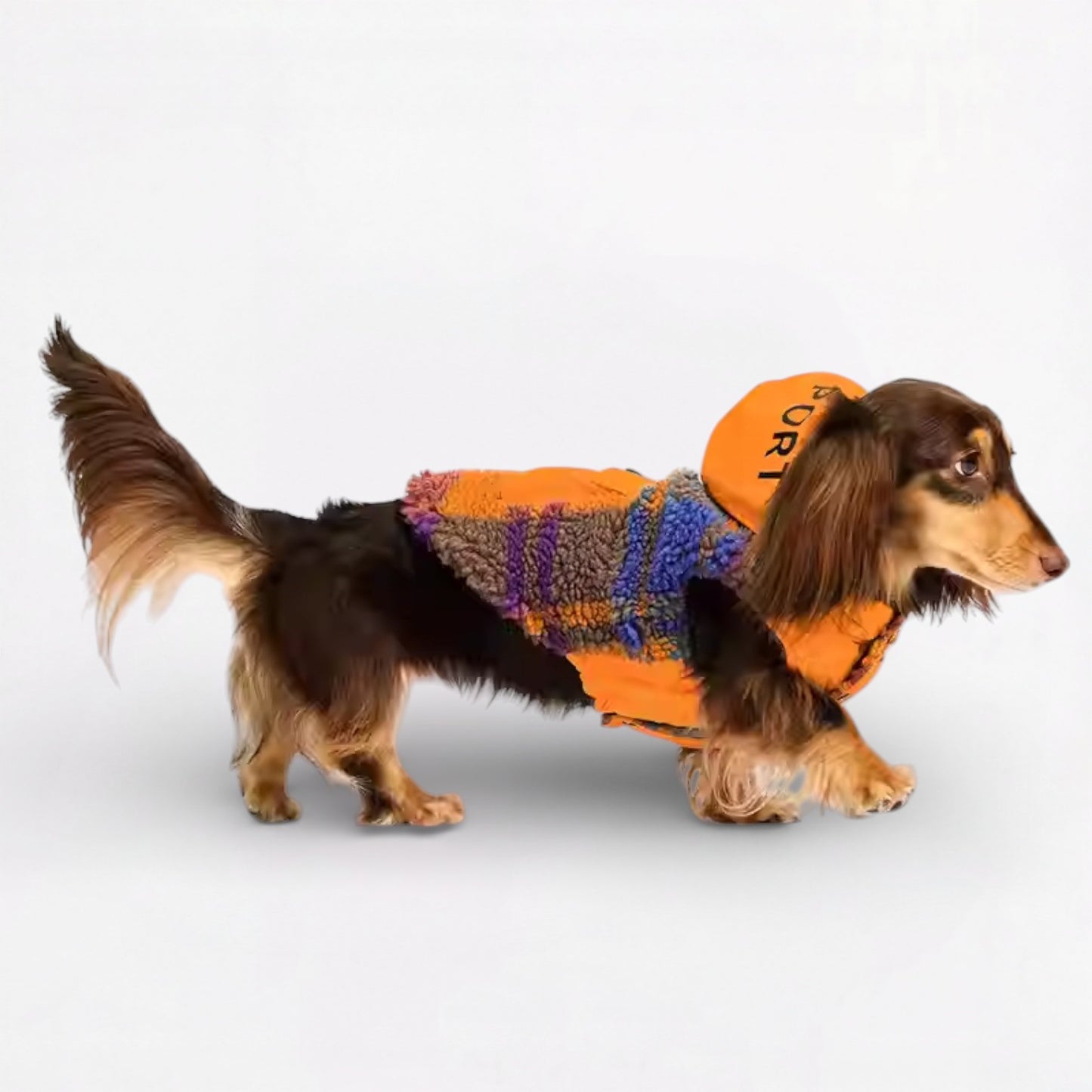 Snugsy-Dachshund-Warm-Vest.jpg