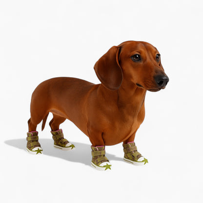 StarPaw-Dachshund-Canvas-Sneakers.jpg