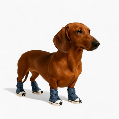 StarPaw-Dachshund-Canvas-Sneakers.jpg