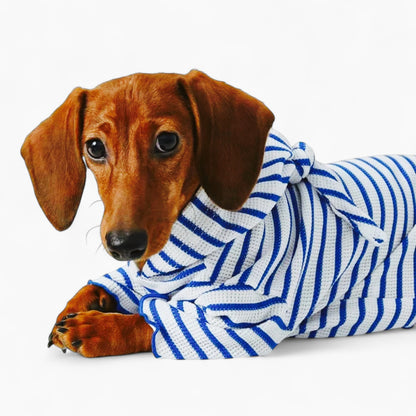 StripeTail-Dachshund-Striped-Hoodie.jpg