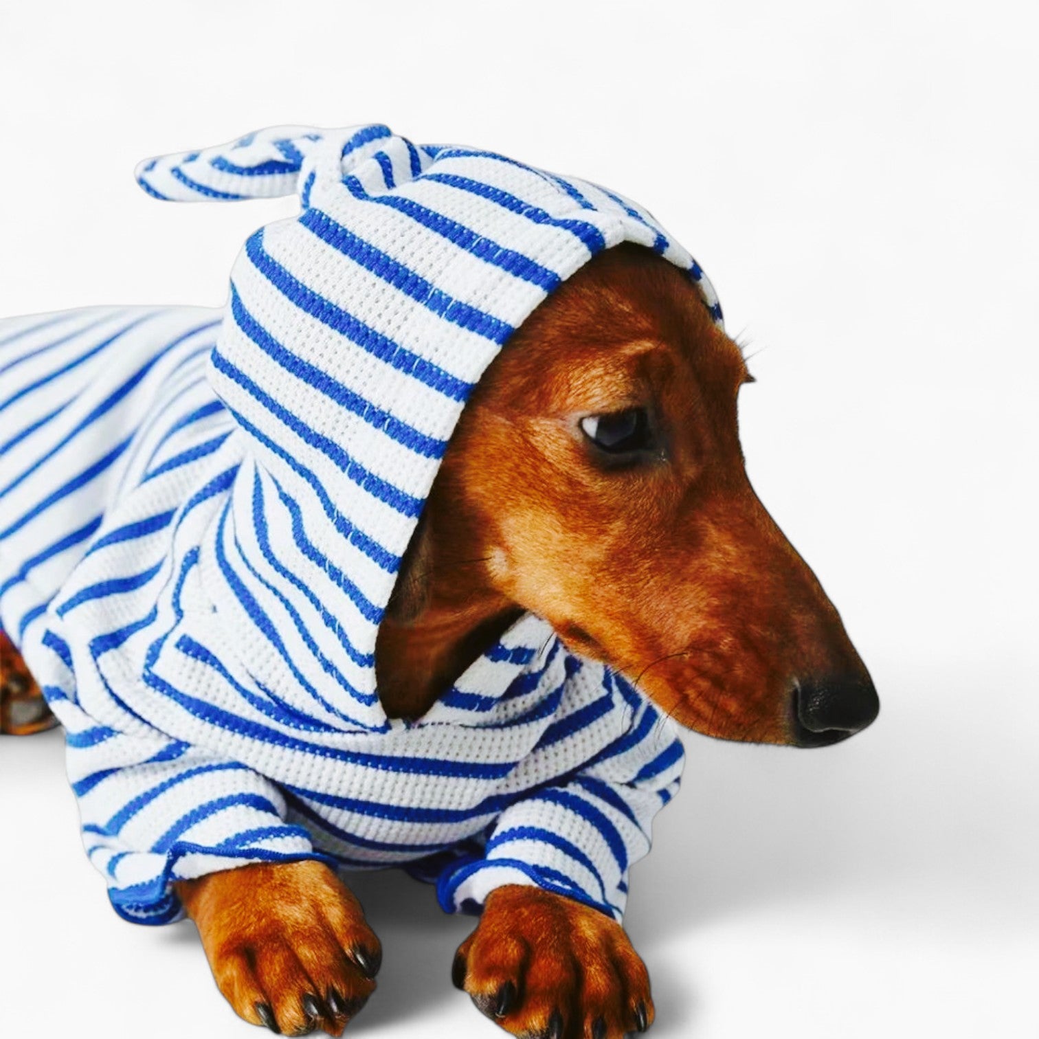 StripeTail-Dachshund-Striped-Hoodie.jpg