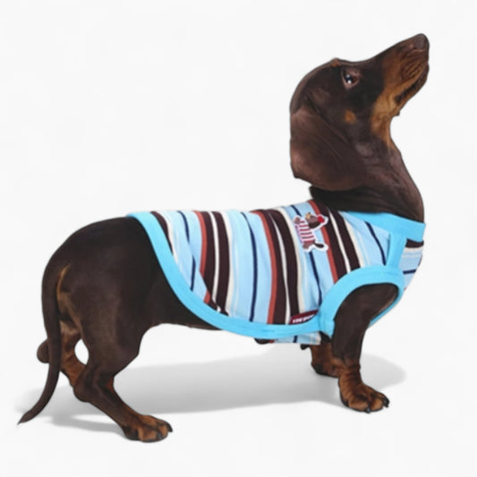 StripiCub-Dachshund-Summer-Vest.jpg