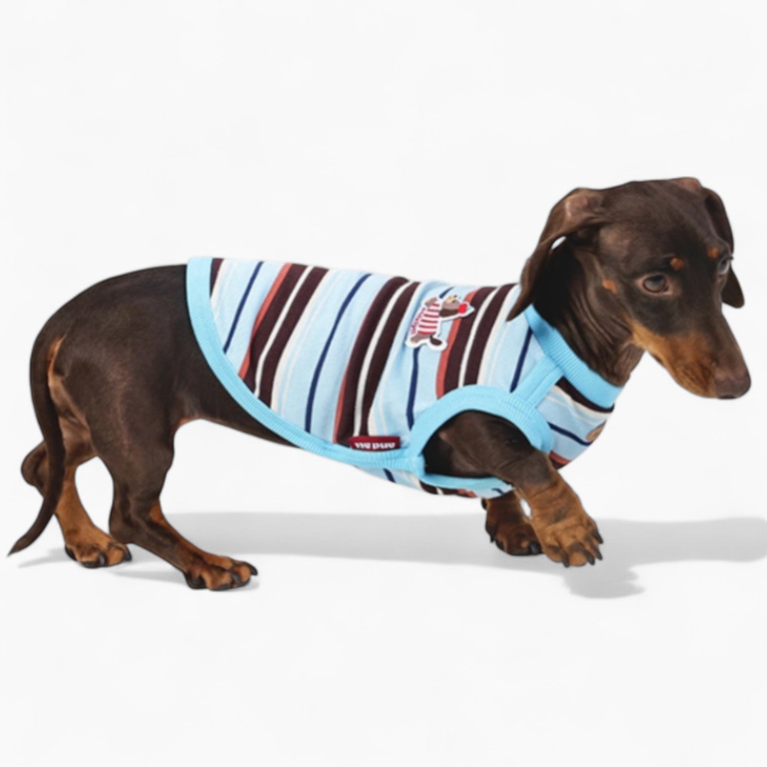 StripiCub-Dachshund-Summer-Vest.jpg