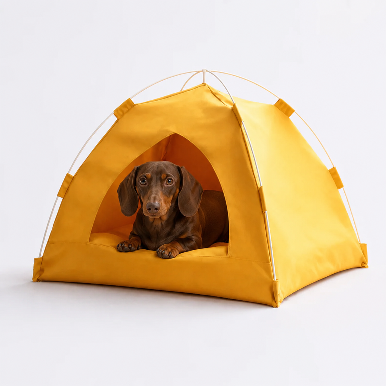 SunDox-Dachshund-Foldable-Tent-Bed.jpg
