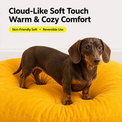 SunDox-Dachshund-Foldable-Tent-Bed.jpg