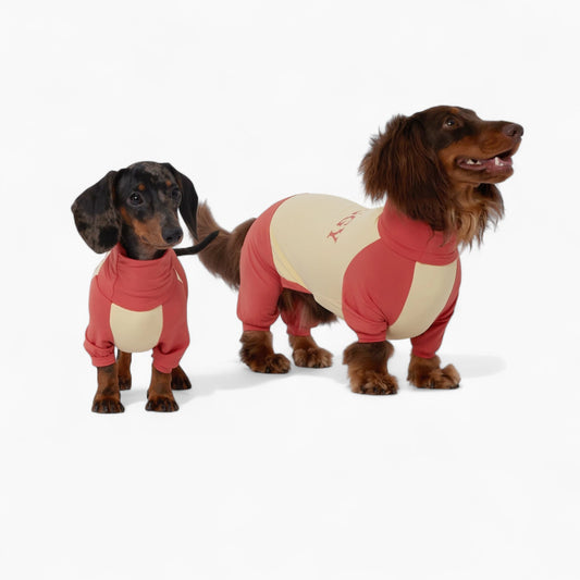 SunPup-Dachshund-Summer-Jumpsuit.jpg