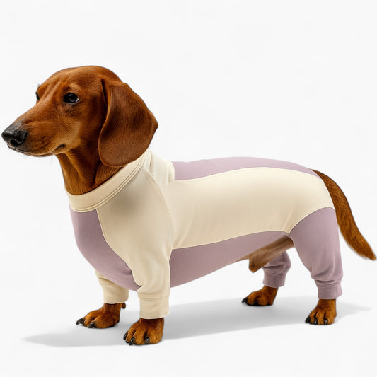 SunPup-Dachshund-Cooling-Suit.jpg