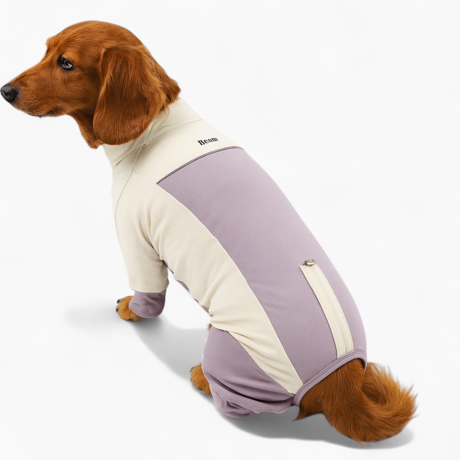 SunPup-Dachshund-Cooling-Suit.jpg