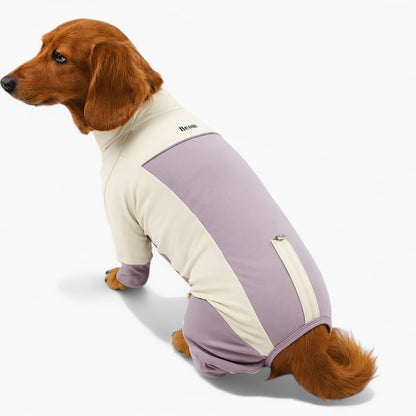 SunPup-Dachshund-Cooling-Suit.jpg