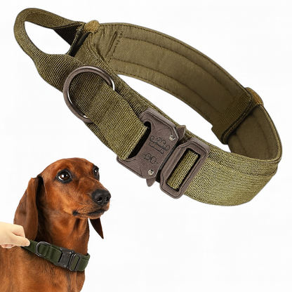 TactiPup™-Dachshund-Tactical-Collar-Leash.jpg