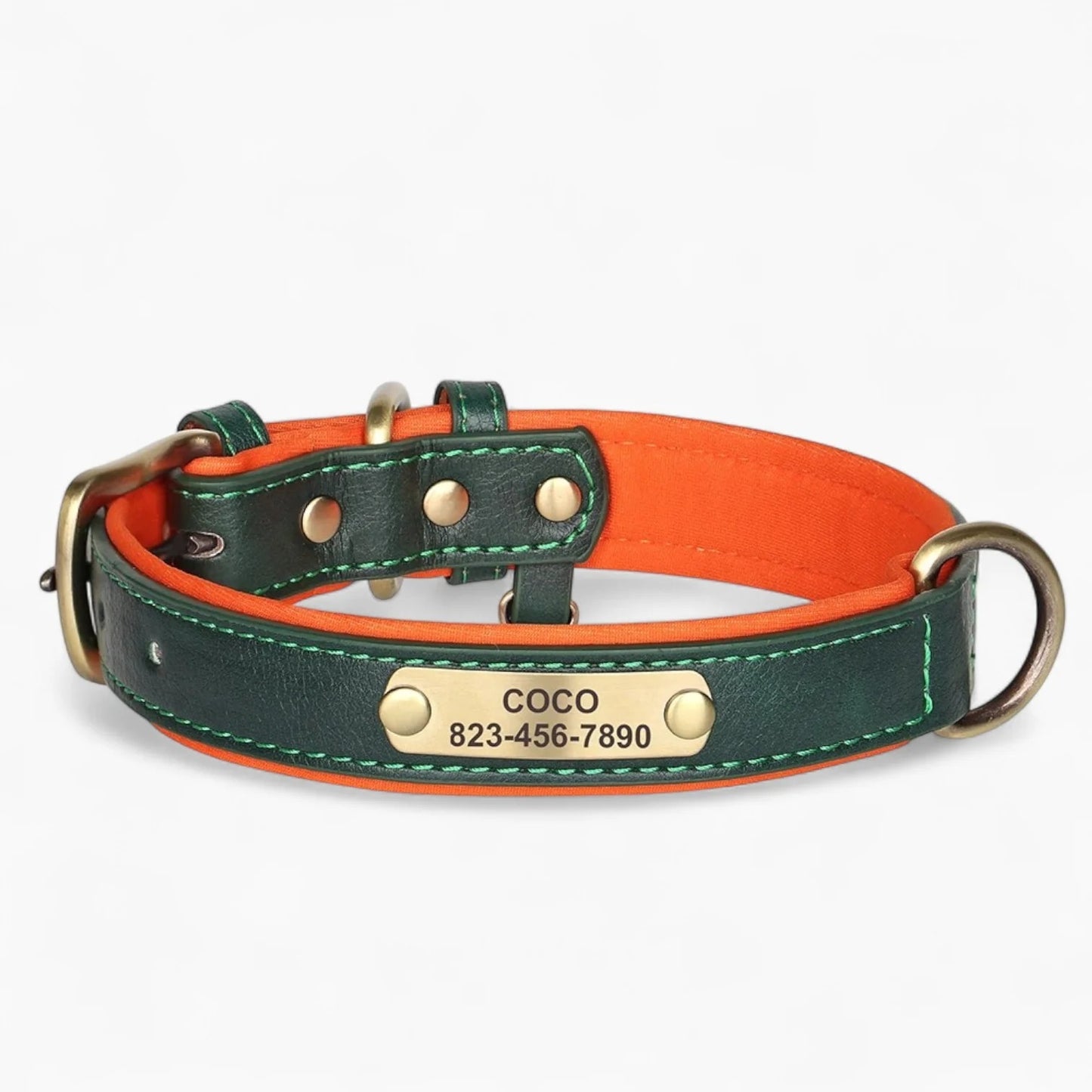 Taggio-Dachshund-Engraved-Collar.jpg