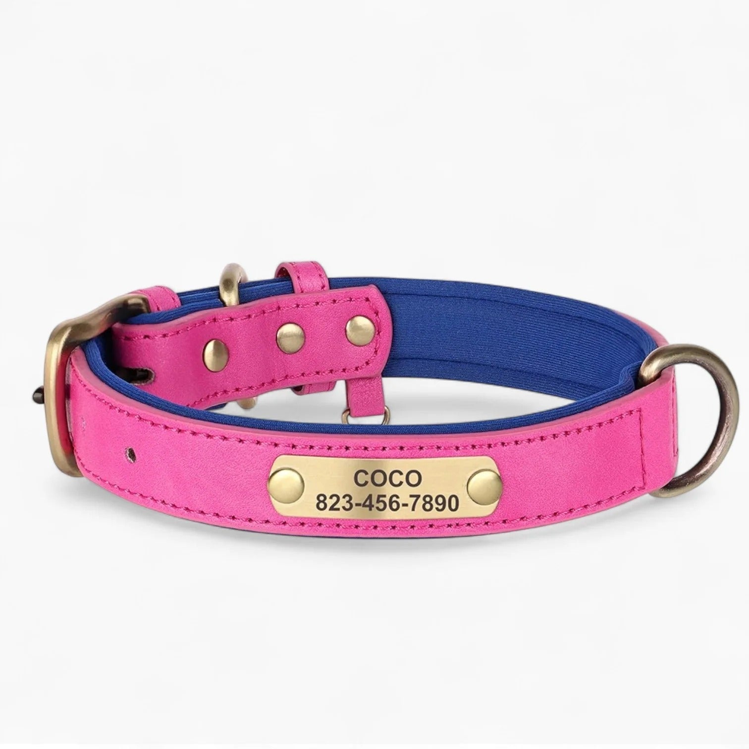 Taggio-Dachshund-Engraved-Collar.jpg