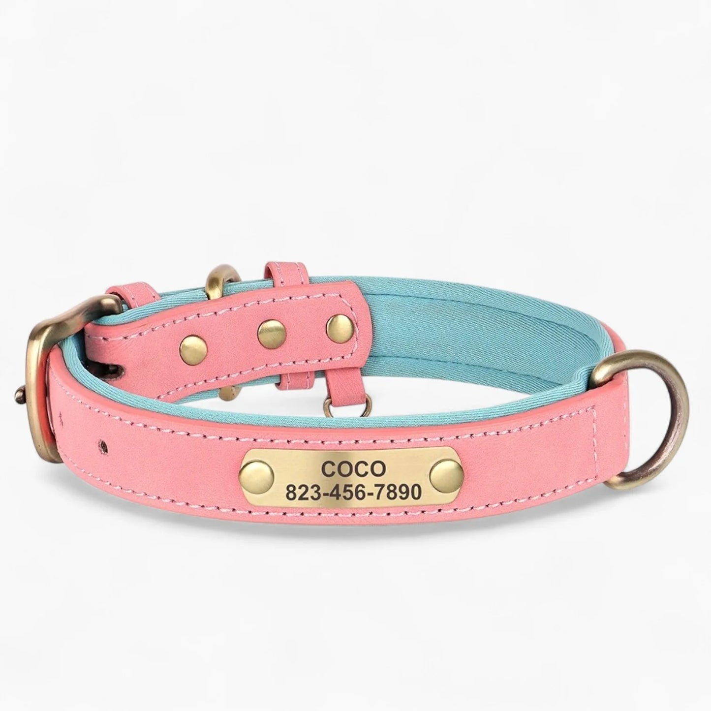 Taggio-Dachshund-Engraved-Collar.jpg