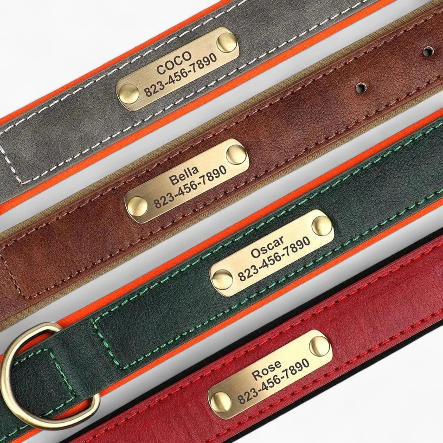 Taggio-Dachshund-Engraved-Collar.jpg