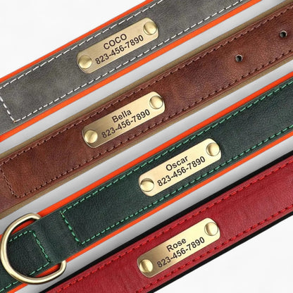 Taggio-Dachshund-Engraved-Collar.jpg