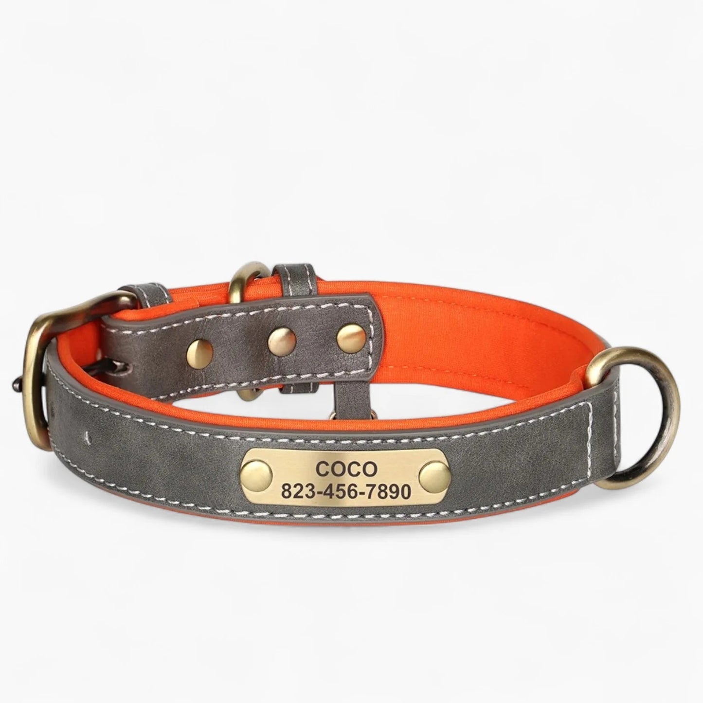 Taggio-Dachshund-Engraved-Collar.jpg