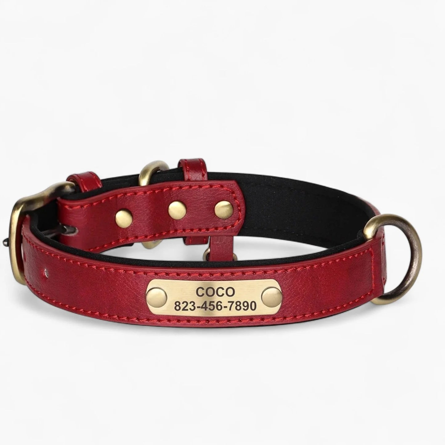 Taggio-Dachshund-Engraved-Collar.jpg
