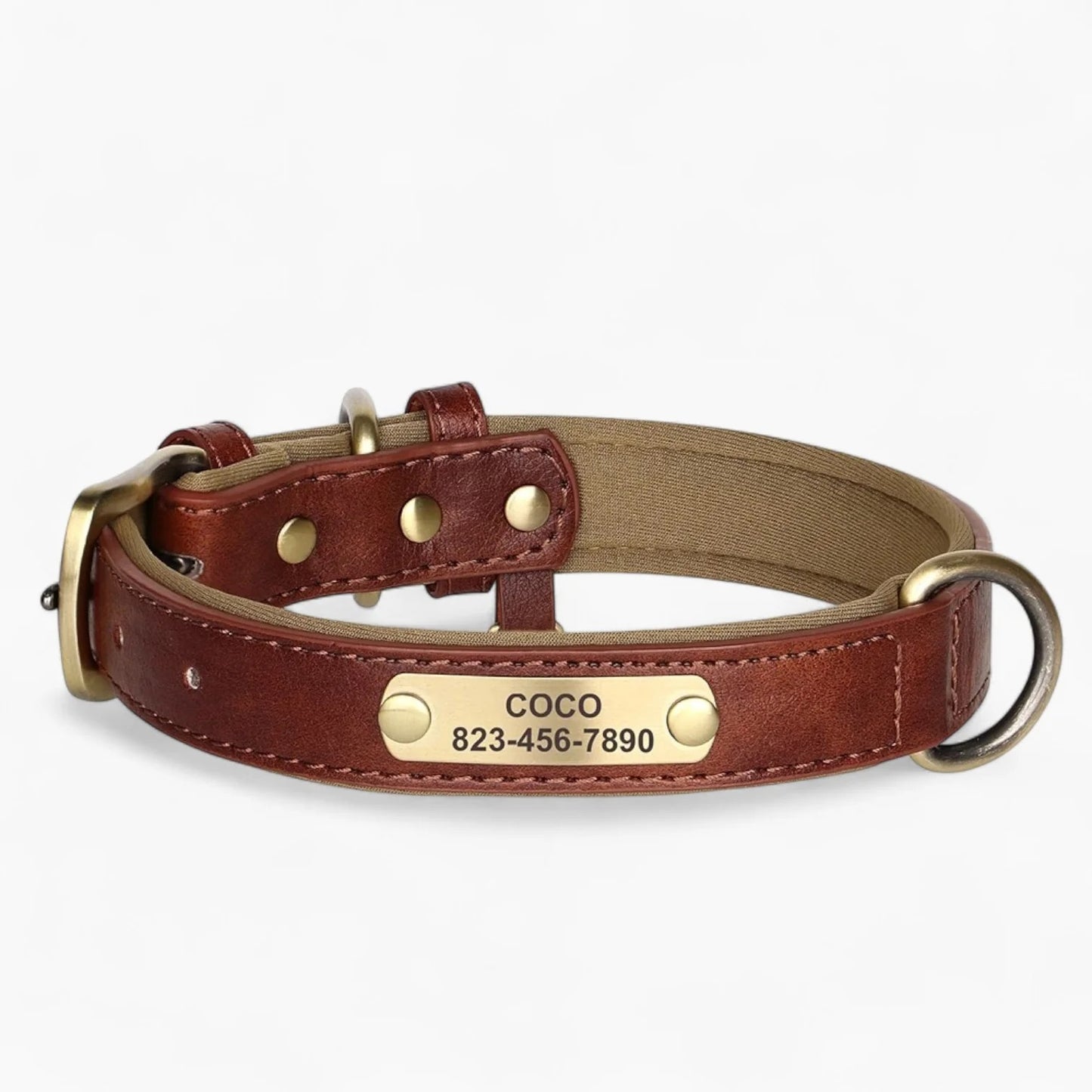 Taggio-Dachshund-Engraved-Collar.jpg