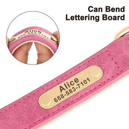 Taggio-Dachshund-Engraved-Collar.jpg