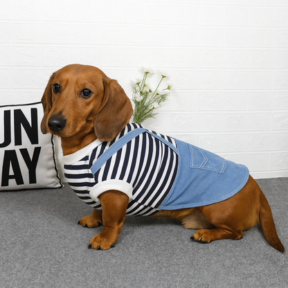 Tailvent-Dachshund-Denim-Dress.jpg