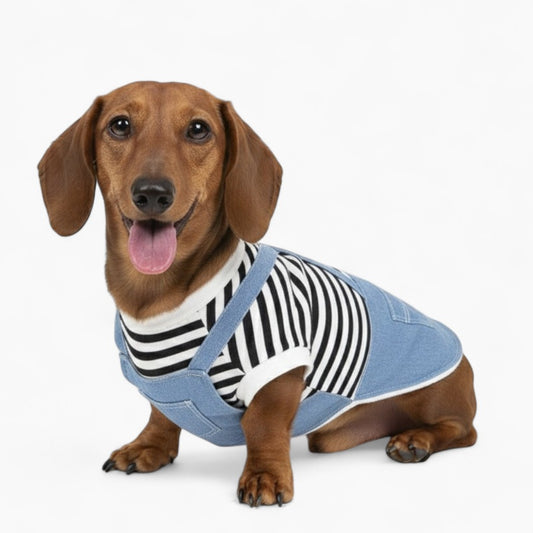 Tailvent-Dachshund-Denim-Dress.jpg