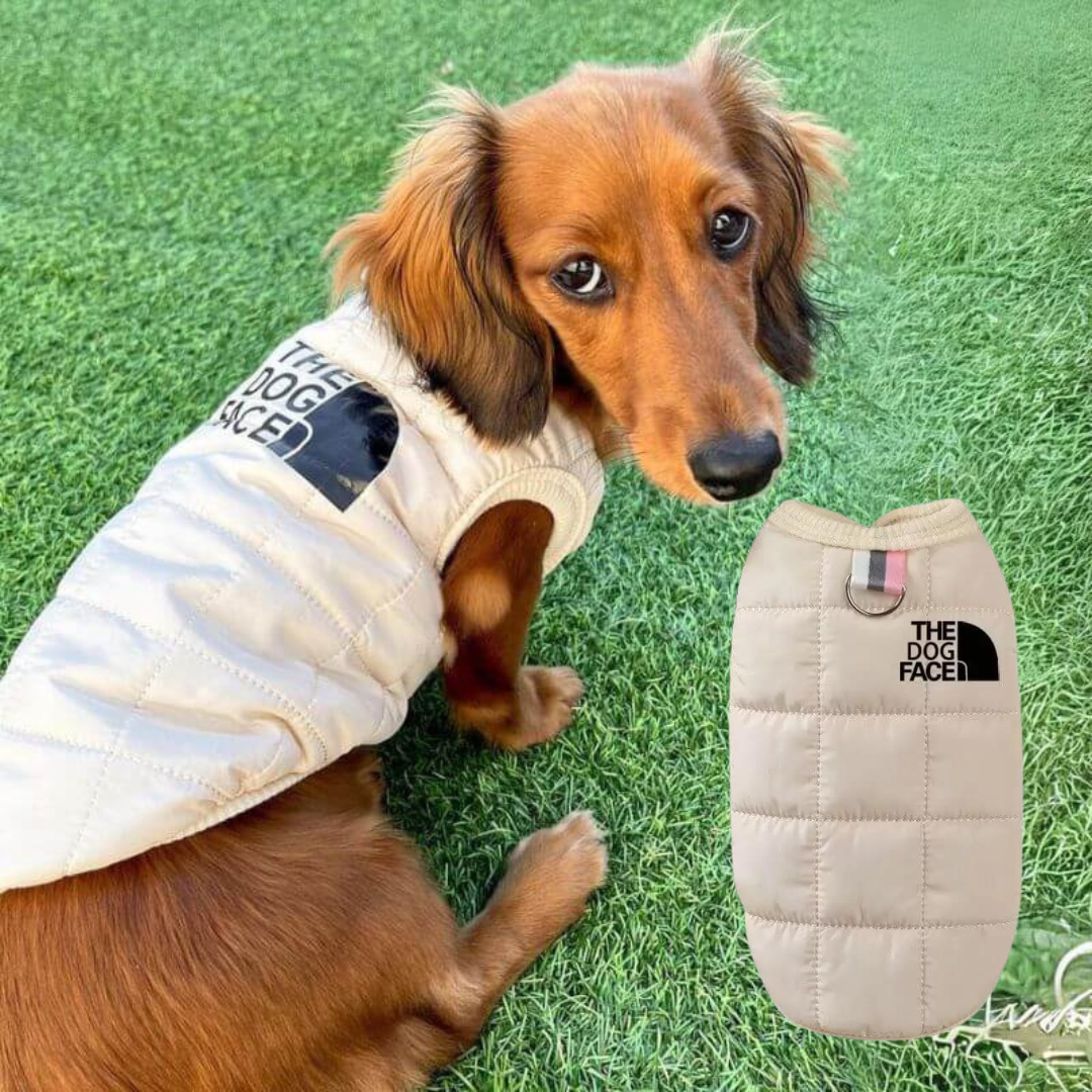 The-Dog-Face-Doxie-Vest-Jacket-www.doxie.us