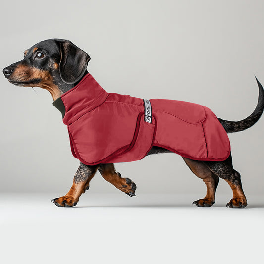 Thickened-Dachshund-Winter-Jacket-Insulated-Doxie-Coat-www.doxie.us