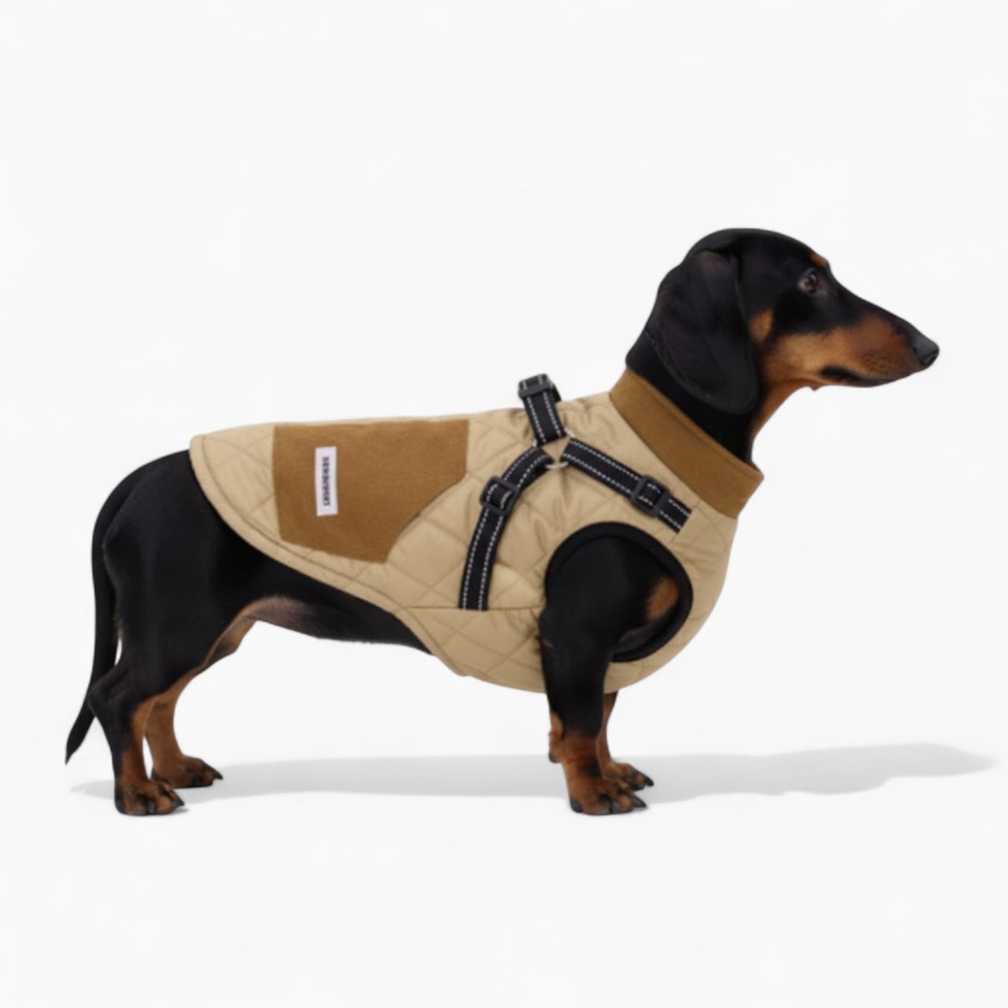 TrailPup-Dachshund-Traction-Vest.jpg
